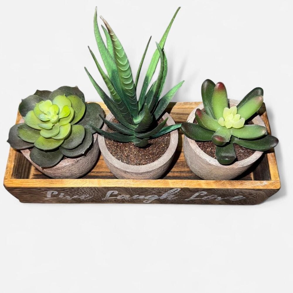 Artificial Succulent Plants in a Farmhouse Style Wooden Planter - Picture 3 of 6